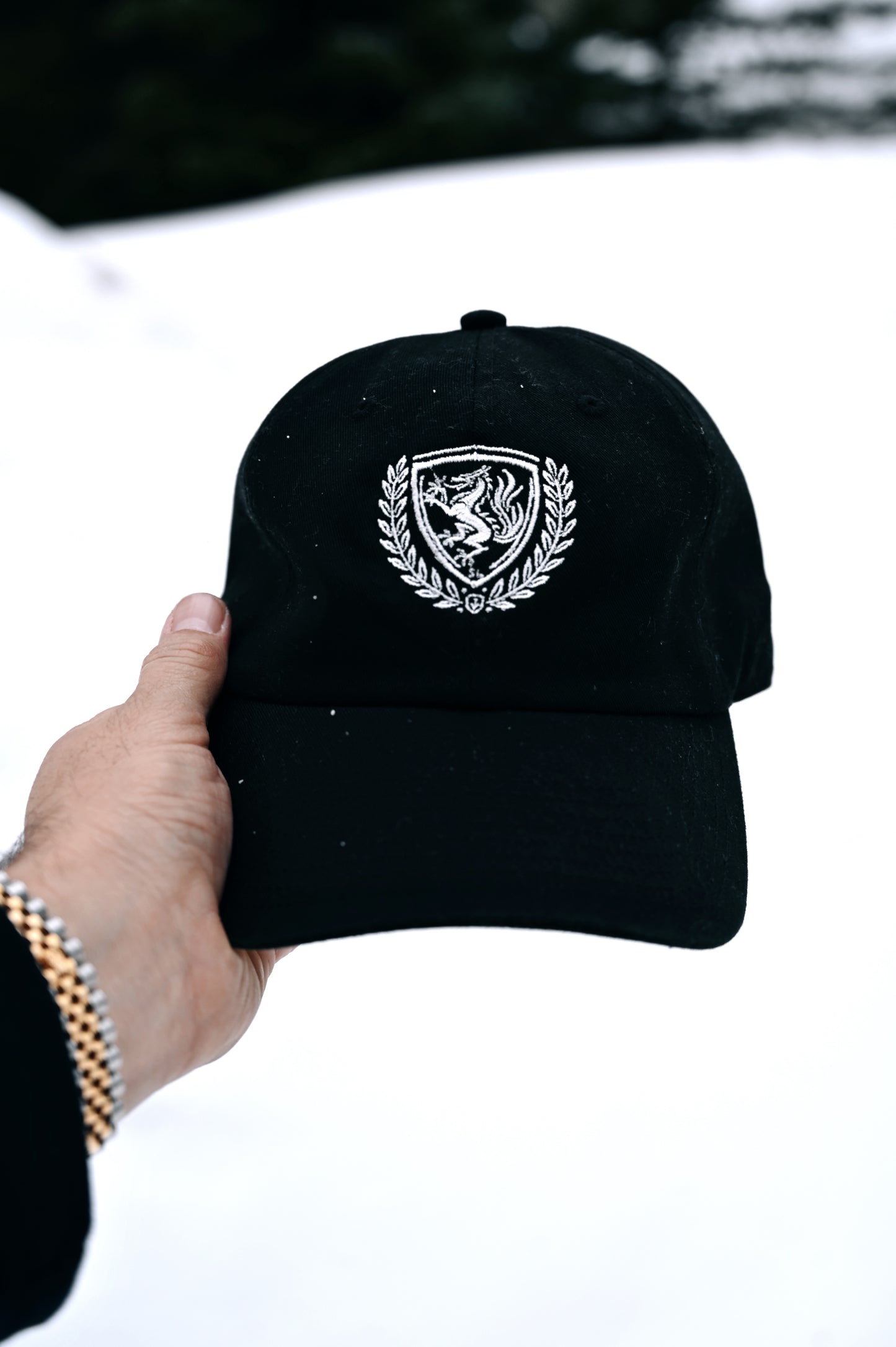 Black Lagom Cap